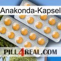 Anaconda Capsule levitra2